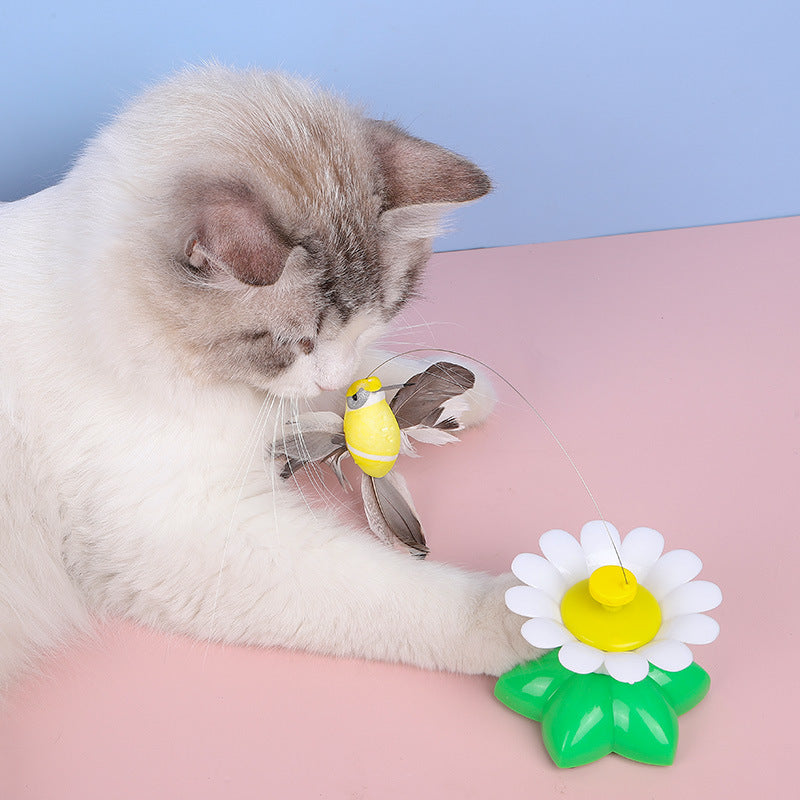 Electric Butterfly Cat Teaser Toy for Pets